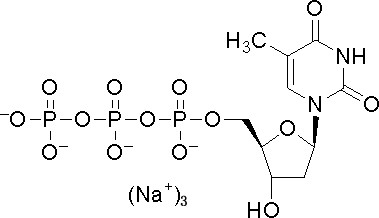 100mM Çözelti DTTP Deoksinükleotitler 2'-Deoksitimidin-5'-Trifosfat CAS 18423-43-3