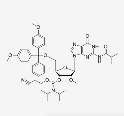 OEM 2'-OMe-iBu-G-CE-RNA Fosforamidit CAS 150780-67-9 N2-iBu-5'-O--2'-OMe-G-CE